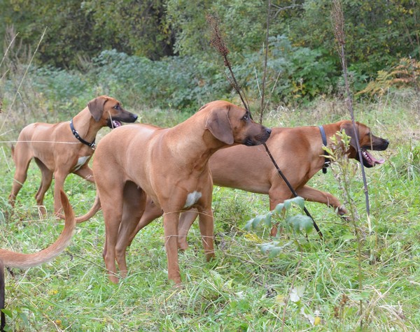 Bintiye with her daughters