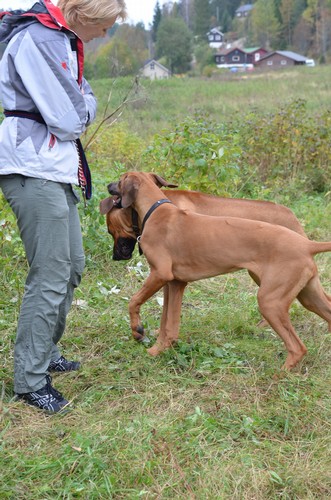 Fanana playing with Emeka