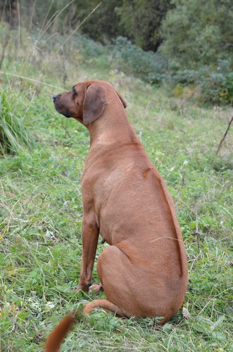 Bintiye watching